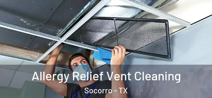  Allergy Relief Vent Cleaning Socorro - TX