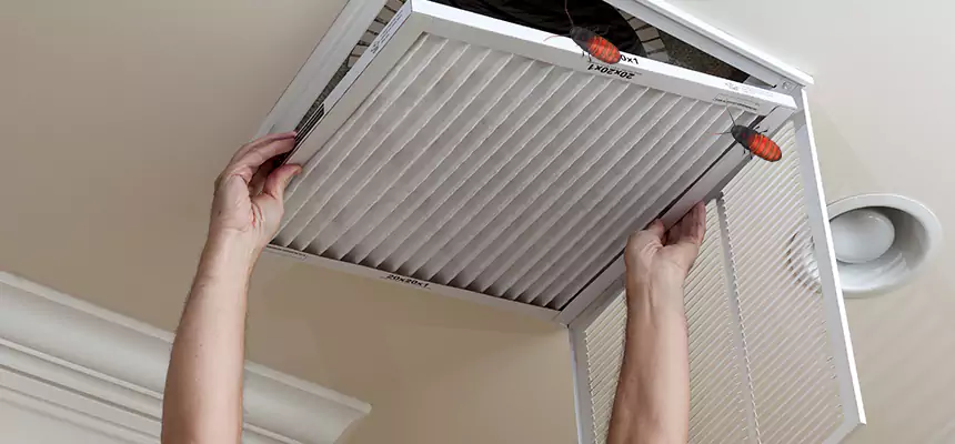 Preventive Cockroach-Proofing for Ducts in Socorro
