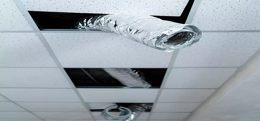 Affordable HVAC Sanitizing After Pest Removal in Socorro