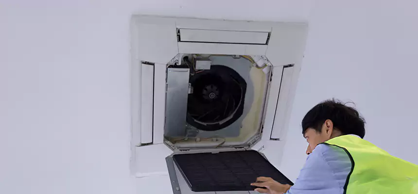 Our Dryer Vent Sanitization Service Services in Socorro, TX