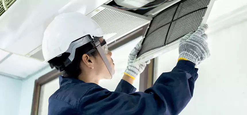 Our Mold & Mildew Removal from Air Ducts Services in Socorro, TX