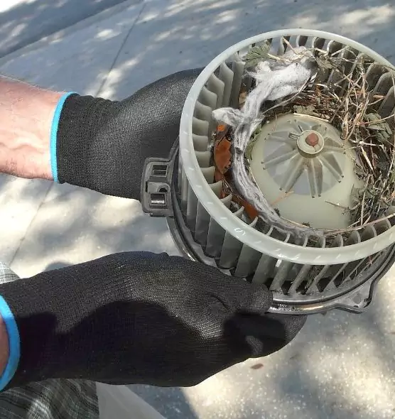 About Air Duct Mice Removal in Socorro, TX