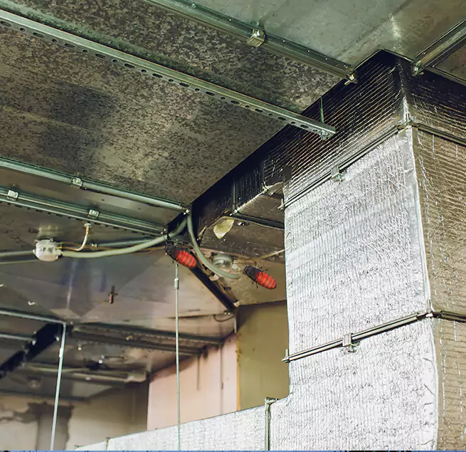 Why Homeowners & Businesses Trust Us in Socorro, TX?