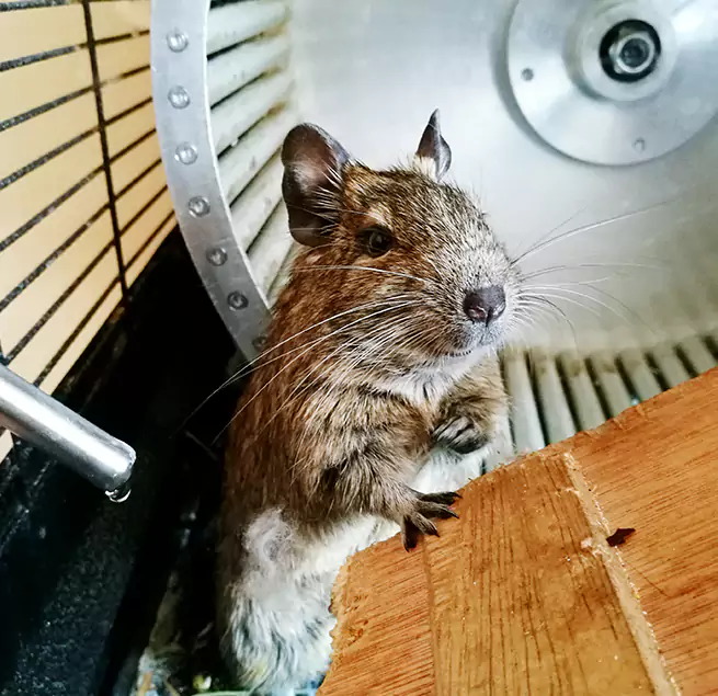 Why Homeowners & Businesses Trust Us Socorro, TX