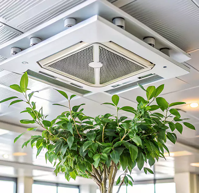 Why Homeowners & Businesses Trust Us in Socorro, TX