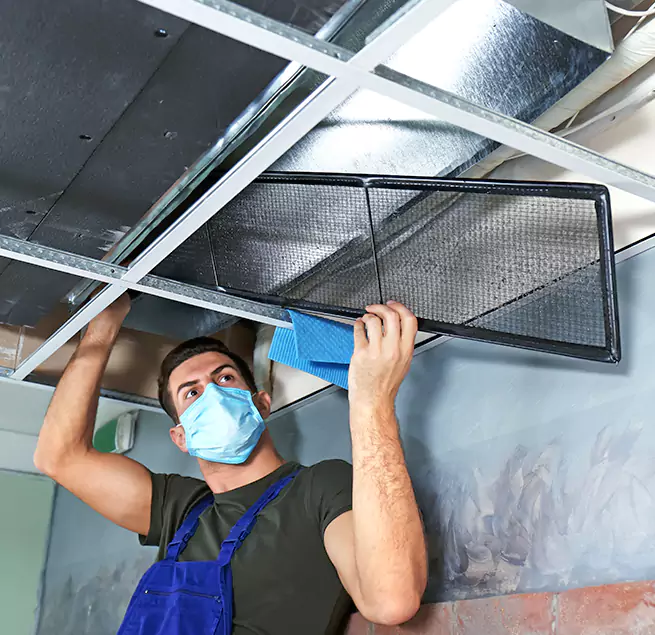  Why Homeowners Businesses Trust Us  in Socorro, TX?